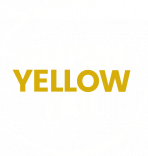 DYT-white-gold-Logo